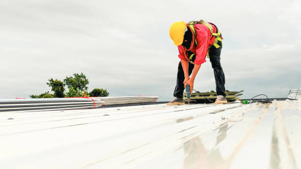 Best Slate Roofing  in Ramona, CA