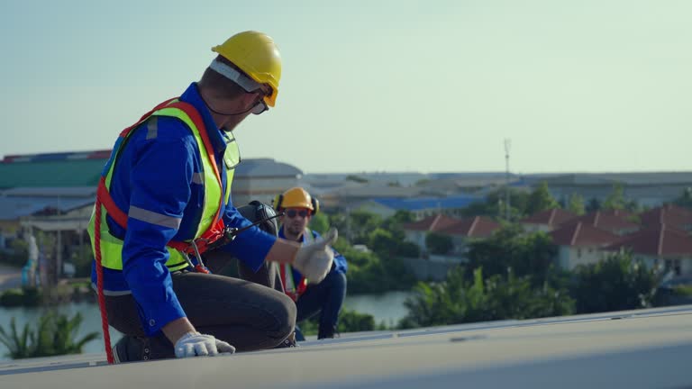 Best Roof Ventilation Installation  in Ramona, CA