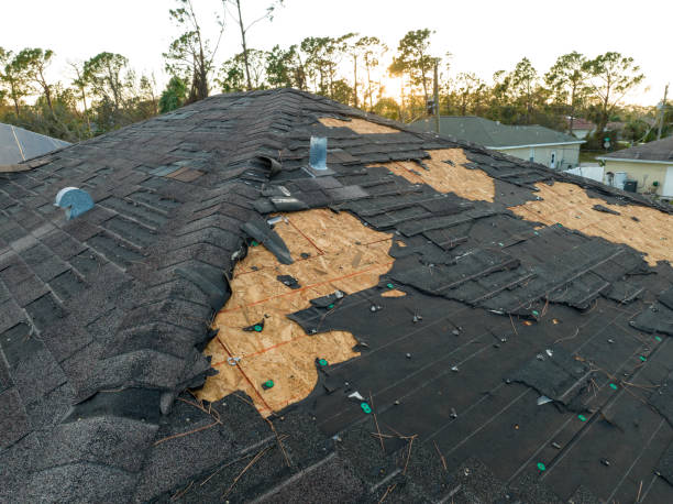 Best Wood Shake Roofing  in Ramona, CA